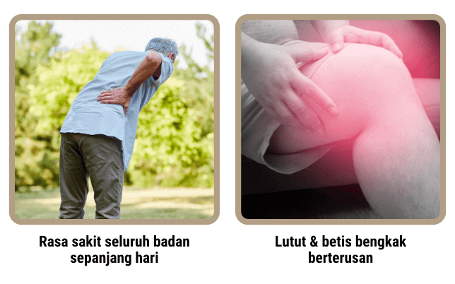 sakit lutut sendi gaout serum sacha inchi aunaturel