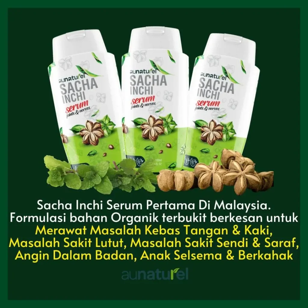 sakit lutut sendi gaout serum sacha inchi aunaturel