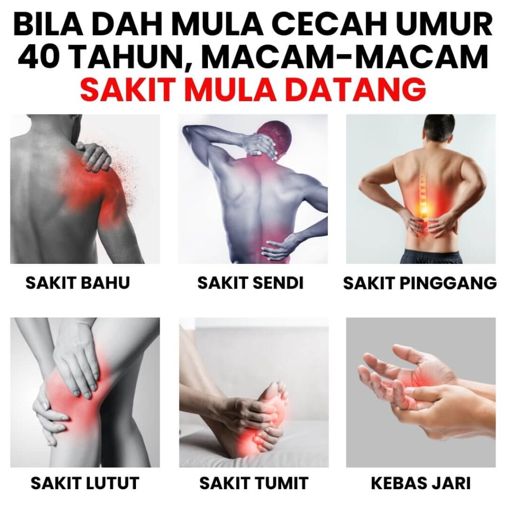 sakit lutut sendi gaout serum sacha inchi aunaturel